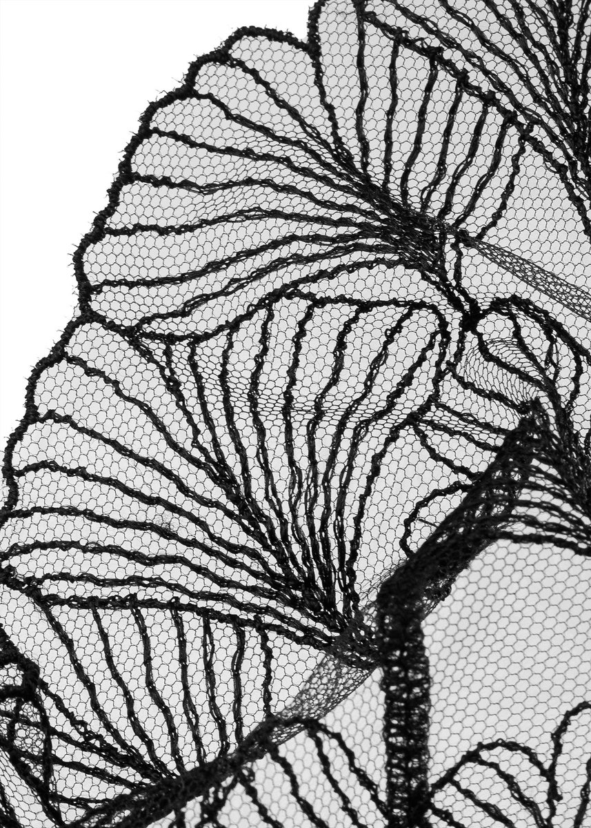 The most beautiful embroidered mesh from Undress Code. Shop the Adore set at cherieamour.com #brafitexperts #designerfashion #designerbra #designerlingerie