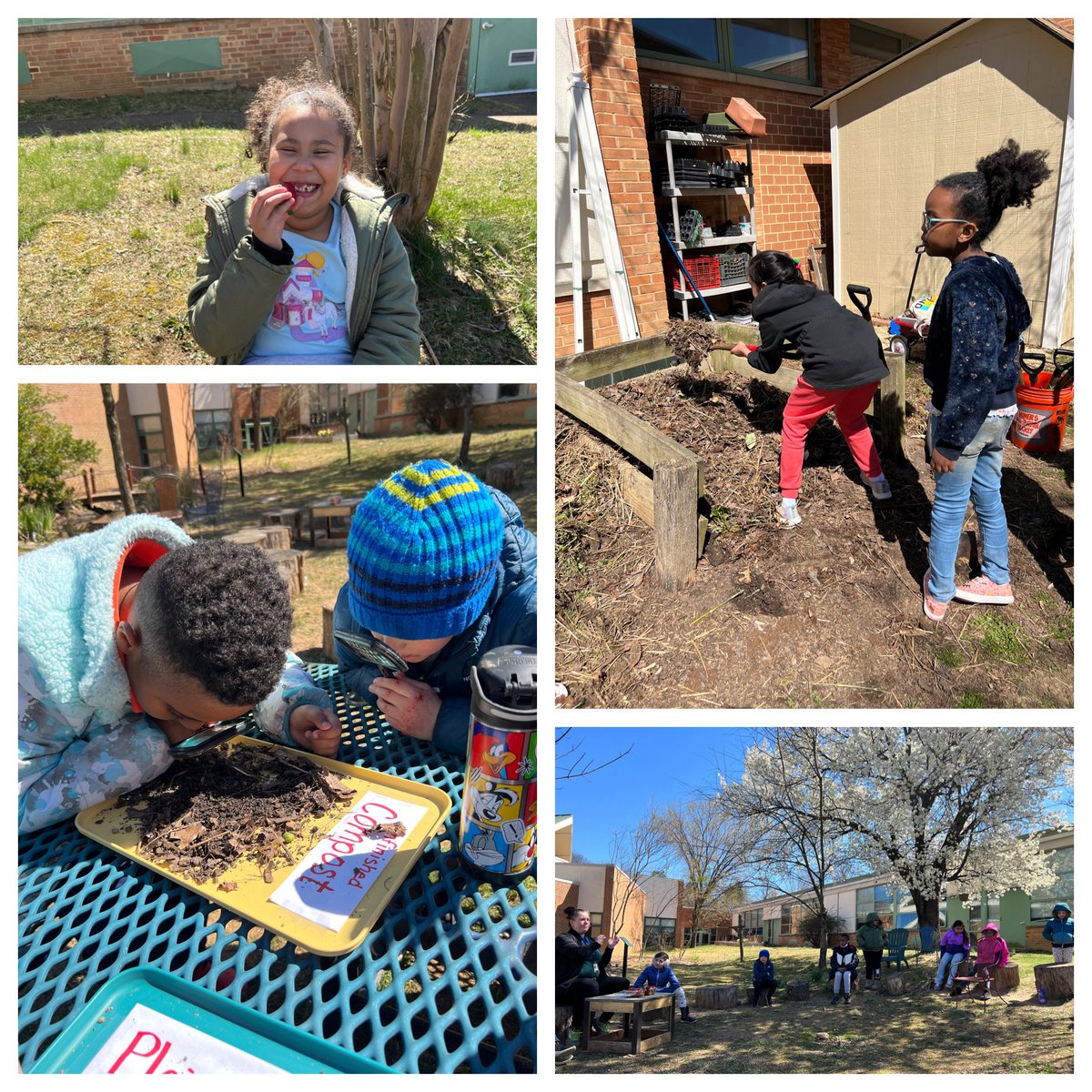 Caroline (McAleer) Ross (@mrs_rossclass) on Twitter photo The first day of spring calls for composting outside with <a href="/CampbellOutside/">Amanda Lowenberger</a>! 🌸 🌱☀️<a href="/CampbellAPS/">Maureen Nesselrode</a> The first day of spring calls for composting outside with <a href="/CampbellOutside/">Amanda Lowenberger</a>! 🌸 🌱☀️<a href="/CampbellAPS/">Maureen Nesselrode</a>
