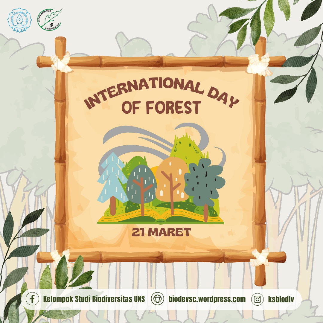 KSBIODIV's tweet photo. Salam lestari??!! 🐸🌿
Salam konservasi!! 🍄🦋

[HARI PENTING]
International Day of Forest
(21 Maret)

🌳🌳🌳🌳🌳🌳🌳
Hari Hutan Sedunia ditetapkan untuk meningkatkan kesadaran pada tiap individu akan pentingnya hutan dan juga pepohonan untuk kehidupan di bumi. https://t.co/UTg7K57F1W