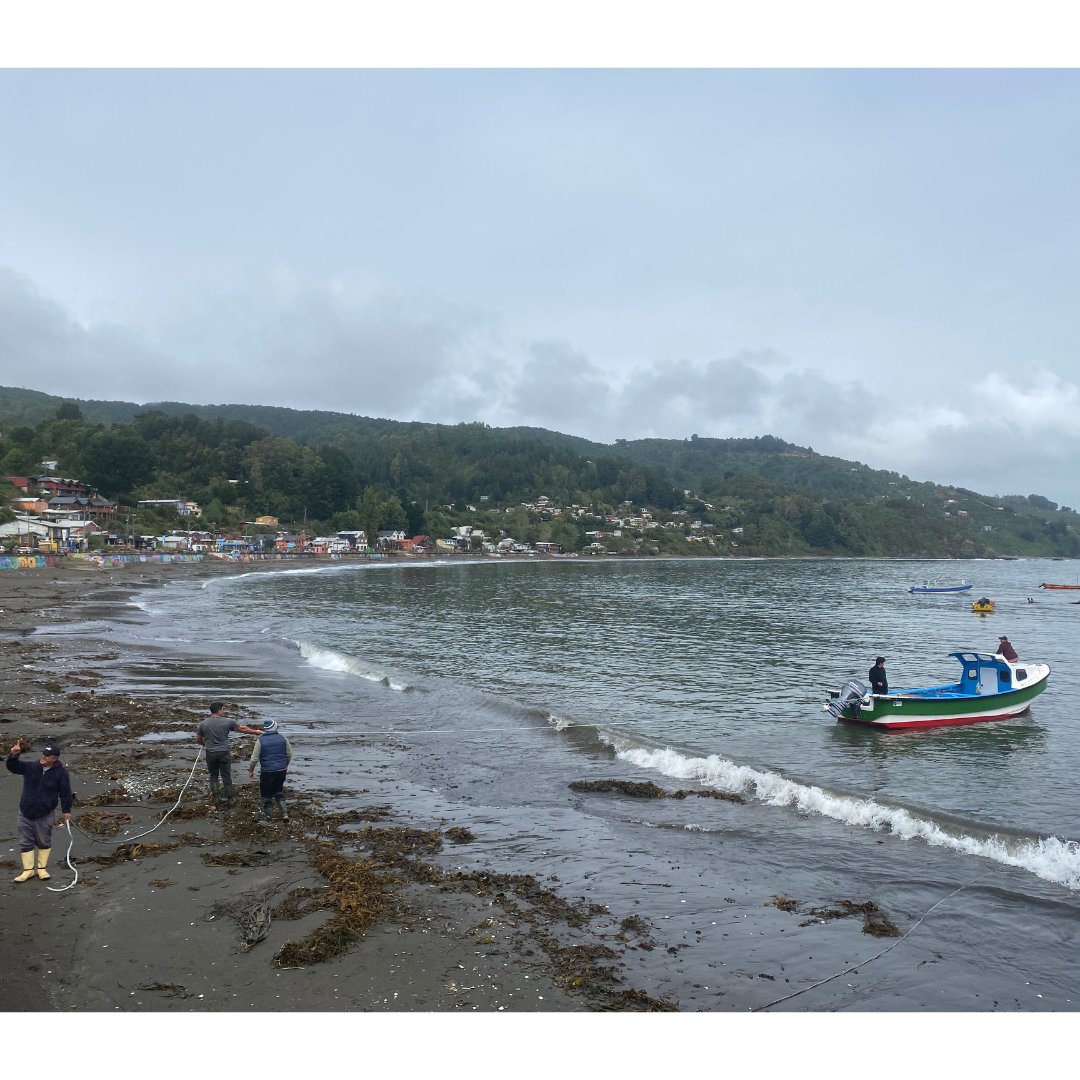 vericatch's tweet photo. Karina from our team is on her way back from a week in Chile working with @EDFOceans on a catch reporting pilot project. It's been great seeing our FisheriesApp in action in the field. Read more about the work of #EDFOceans: https://t.co/67UAPCuzAz #catchreporting #oceantech https://t.co/KNjyfDYN8y