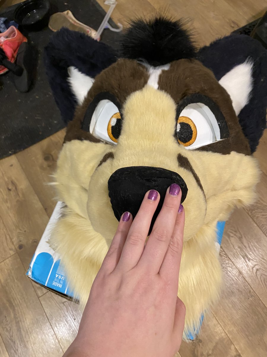 Drag0nDream's tweet photo. Refurb project for @SergeNightfire from 2021 
Replaced all the tan fur, new nose and tongue, deep clean, over all repair, new chip tuft, new neck, mew inner eyes
Please ignore the lint on the nose, was lint rolled after these pics. were taken 😅
head by @/Furitup https://t.co/vbRHOJaUm2