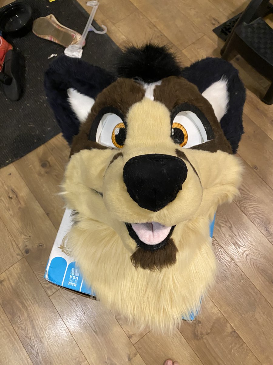 Drag0nDream's tweet photo. Refurb project for @SergeNightfire from 2021 
Replaced all the tan fur, new nose and tongue, deep clean, over all repair, new chip tuft, new neck, mew inner eyes
Please ignore the lint on the nose, was lint rolled after these pics. were taken 😅
head by @/Furitup https://t.co/vbRHOJaUm2