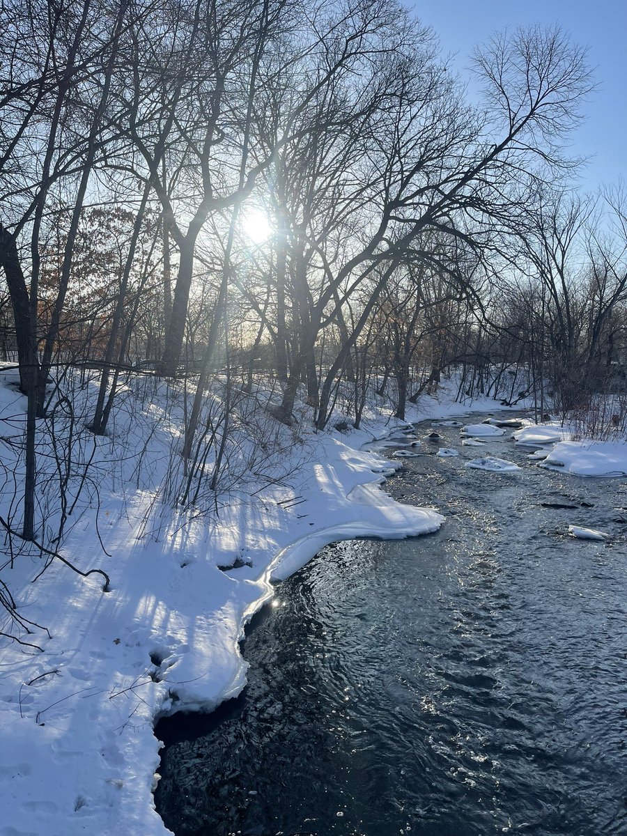 Happy Spring from Minnesota! #MinnehahaFalls