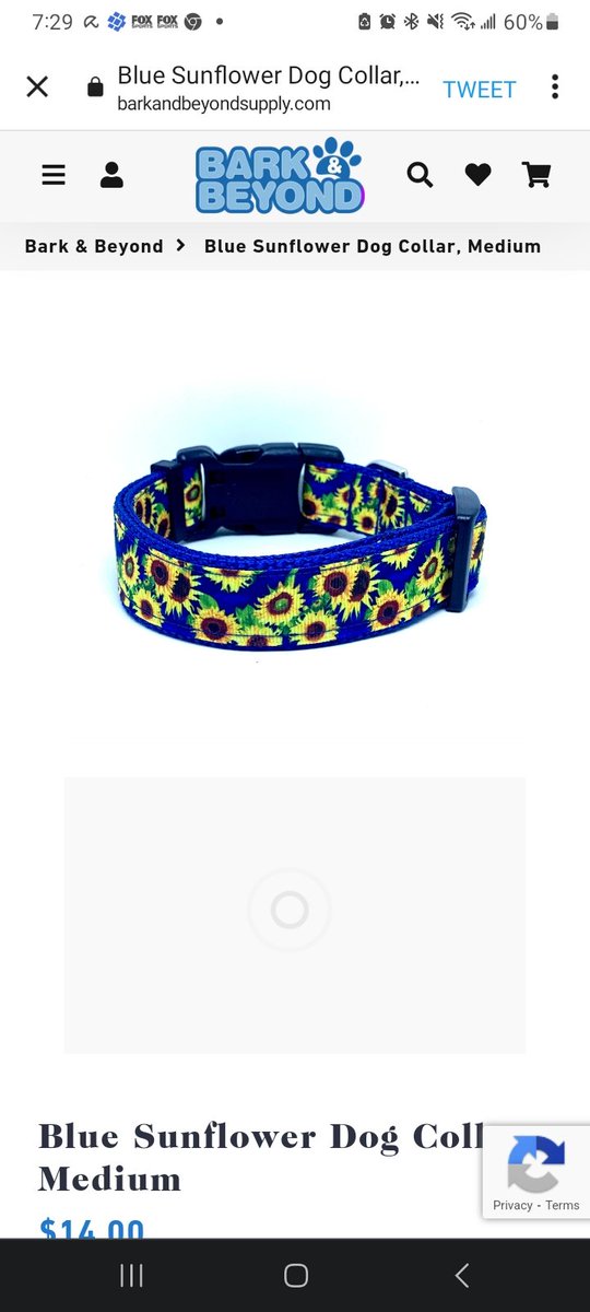 pin_suki's tweet photo. Look, what I am getting! It seems that certain fabrics and definitely metal clasps irritate my neck. So dey ordered a new collar for me! #dogsoftwitter @Bark_Beyond is #beststoreever (dey are lazy to shopping!) https://t.co/xybai1BBdi