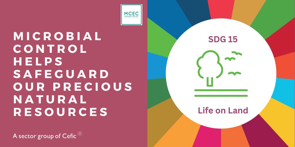 Today is International Day of Forests. #MicrobialControl in coatings &amp; paints increases the lifespan of wooden infrastructures &amp; furniture, making them more durable, and reduces the need for logging. #protectandPreserve #forestry

For more: bit.ly/3pJCJog