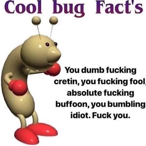 Loke_Sama's tweet photo. Here’s some cool bug fact’s for you :) https://t.co/HgRWujJZAC