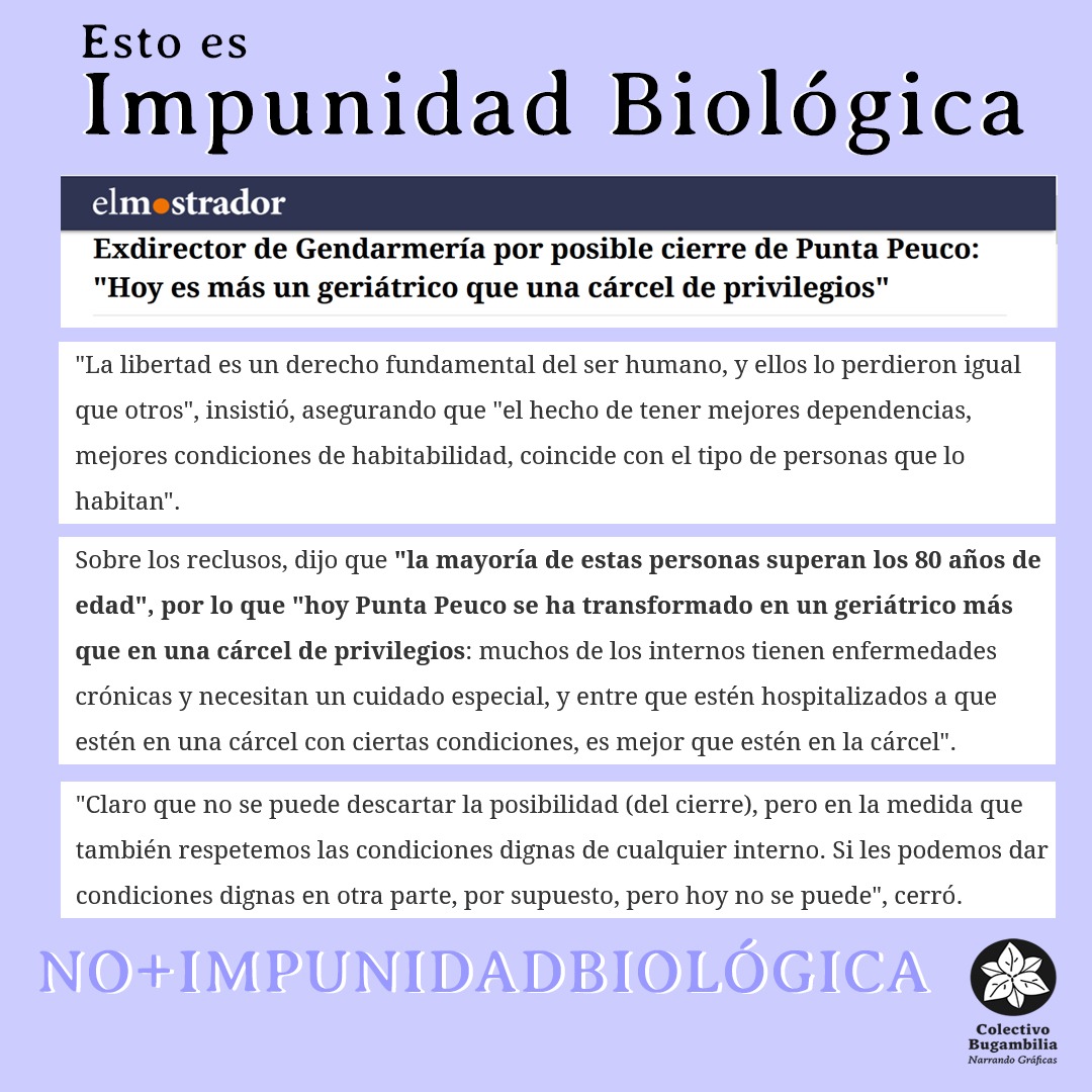 Colectivo Bugambilia tweet media