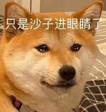 可以叫我Rex tweet media