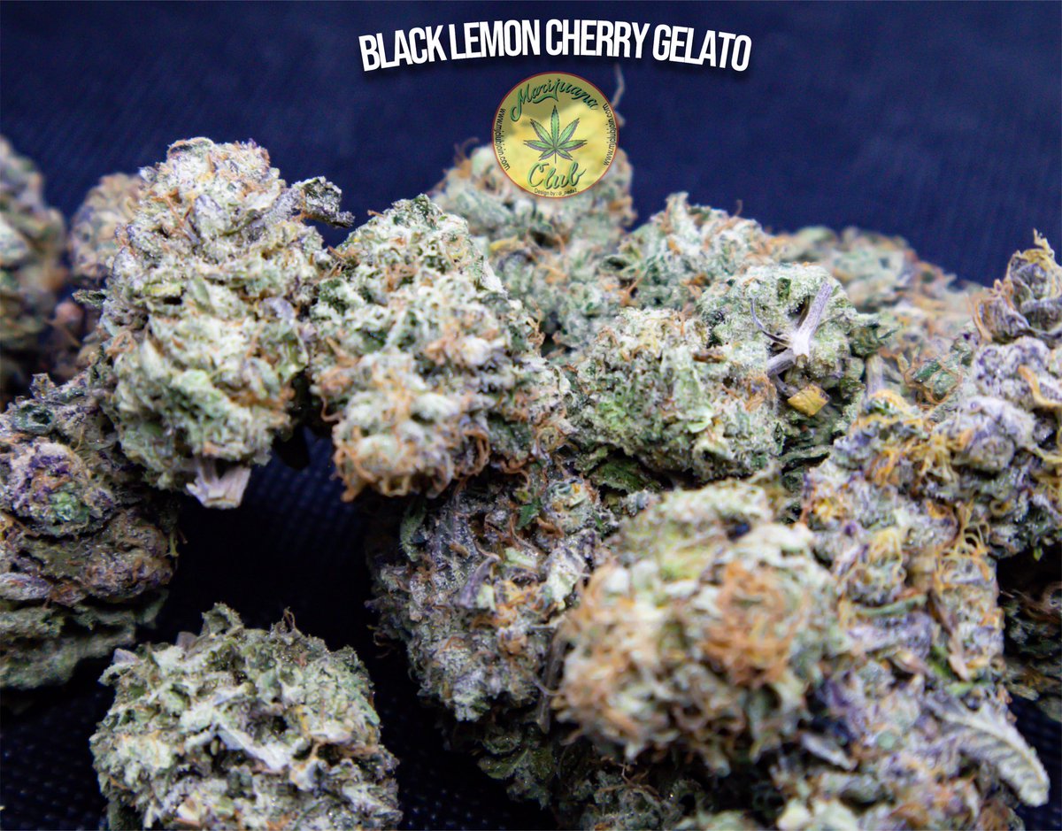 rushgreen15's tweet photo. !! New Drop This Week!!
Follow me on Instagram: @marijuanaclub.916
Text me: 916-519-9848
Follow me on Twitter: @rushgreen15
Follow my YouTube Page: marijuana club 916 go to my website @ https://t.co/rvvj9FEBmx
Join Telegram https://t.co/YcalvloWjQ https://t.co/tQUVecfmwM