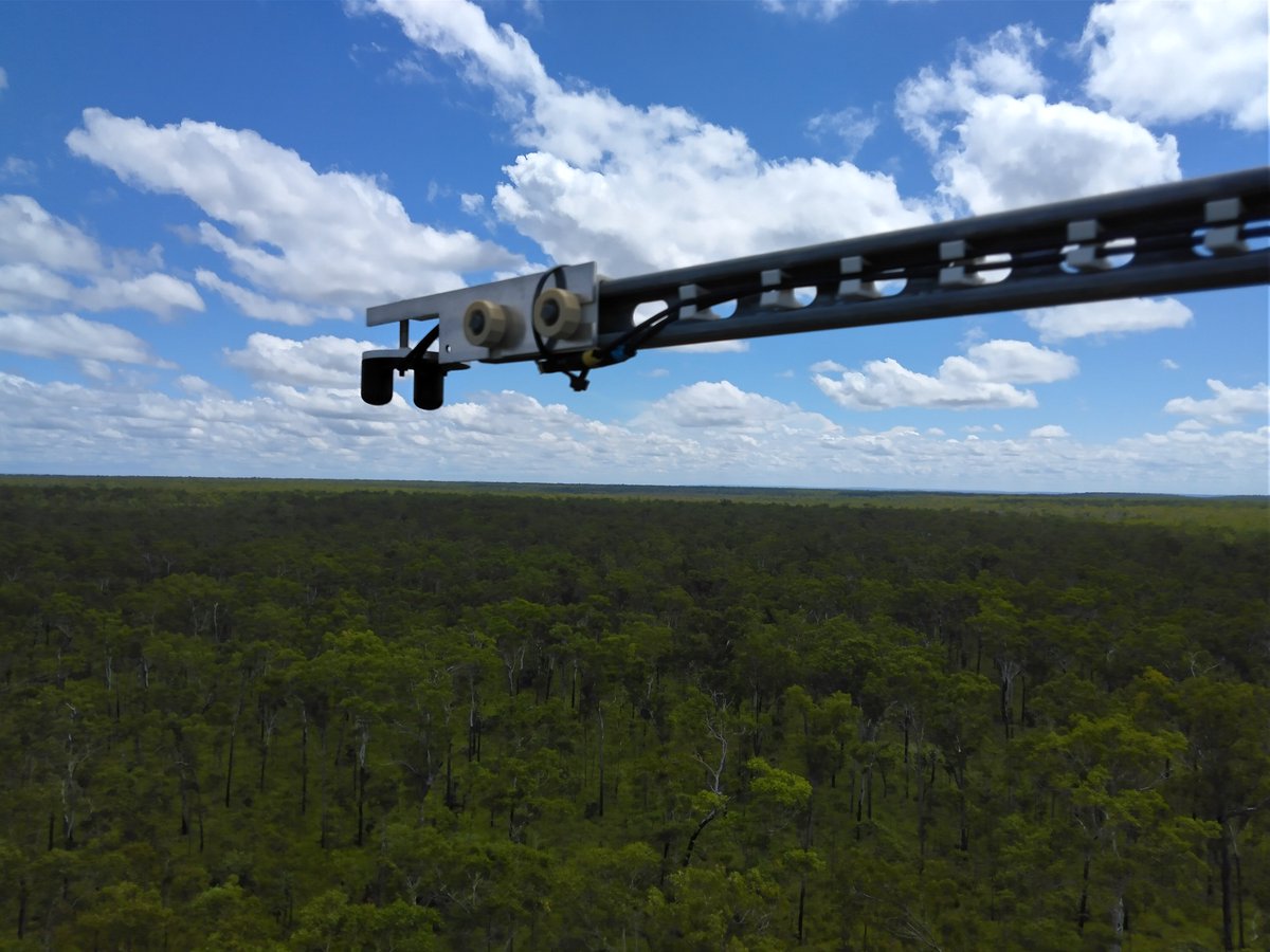 Repaired and reinstalled #PAR sensors @TERN_Aus instrument tower @LitchfieldSSS for #NorthAustralianSatelliteValidationFacility in collaboration with @CopernicusGBOV . The sensors have been damaged by lightning. #validation #EarthObservation