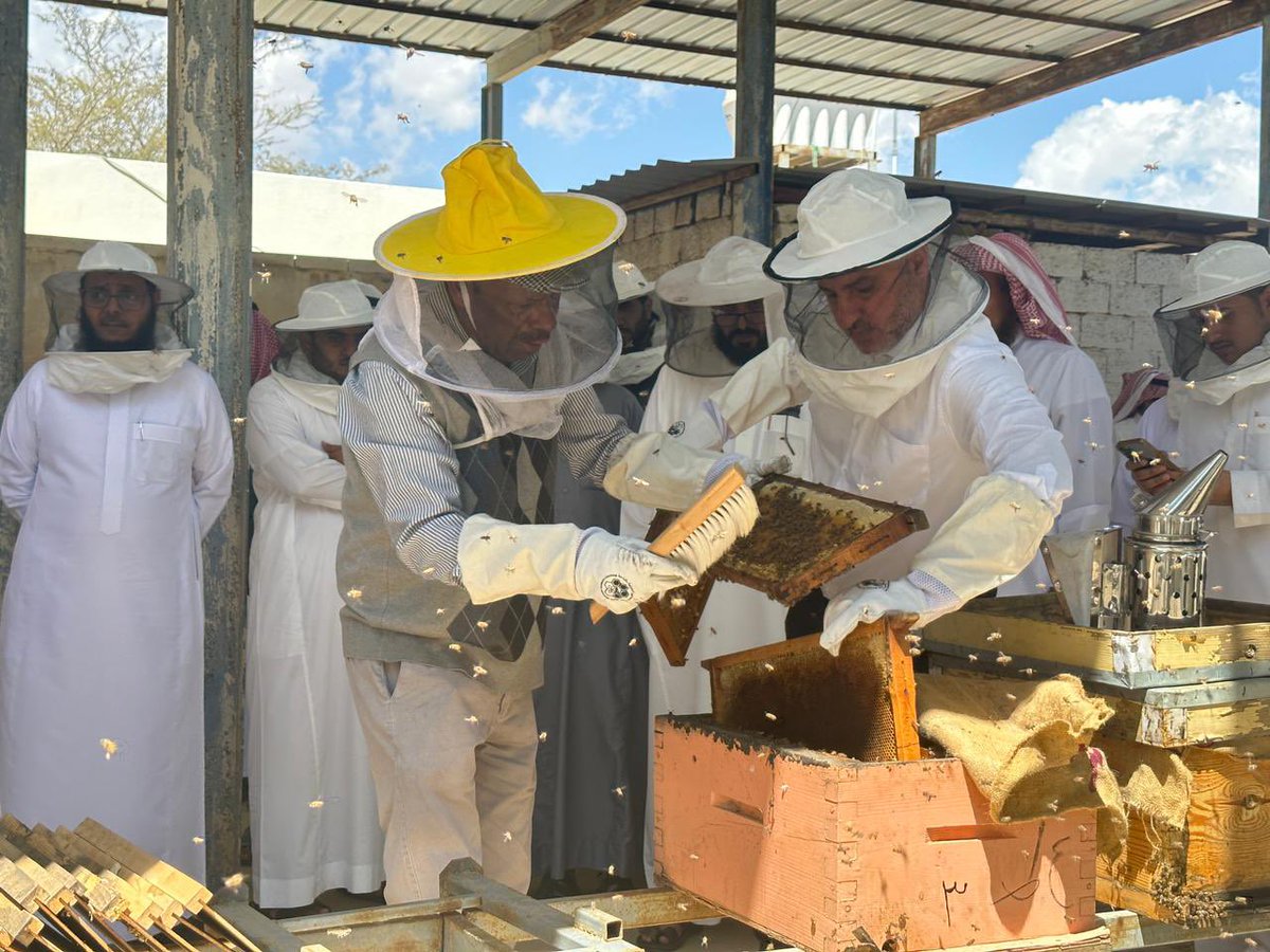 منظمة الفاو في السعودية on Twitter "The 3day training on honeybee