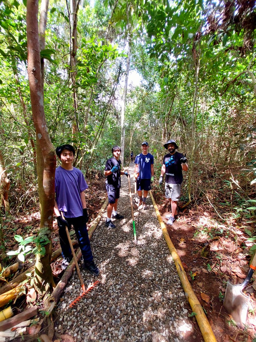 Camp_CostaRica's tweet photo. Look what our team from Toronto has been up to! They were staying in our #CampCañoNegro near the Wildlife Refuge of Caño Negro and worked hard on the paths and platforms of the trail. Well done!👏
#CampsEffect #DoSomethingAmazing #PartneringWorldstrides @UCC_Community @CampsInt https://t.co/Q5dubHjOmw