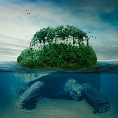 DNIgov's tweet image. Do you know why the turtle has great significance with the Delaware Nation? Visit bit.ly/36GK1Pm to learn about our creation myth story.

#DelawareNation #Taakox #NativeOwned #SmallBusiness