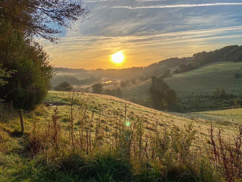 Ambios Ltd tweet media