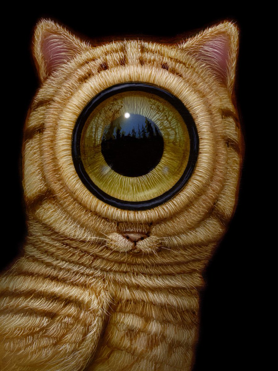 JenNotRevealed's tweet photo. Pop surrealism

Haoto Nattori

#ArtAgainstHate https://t.co/ASocJQoVBR
