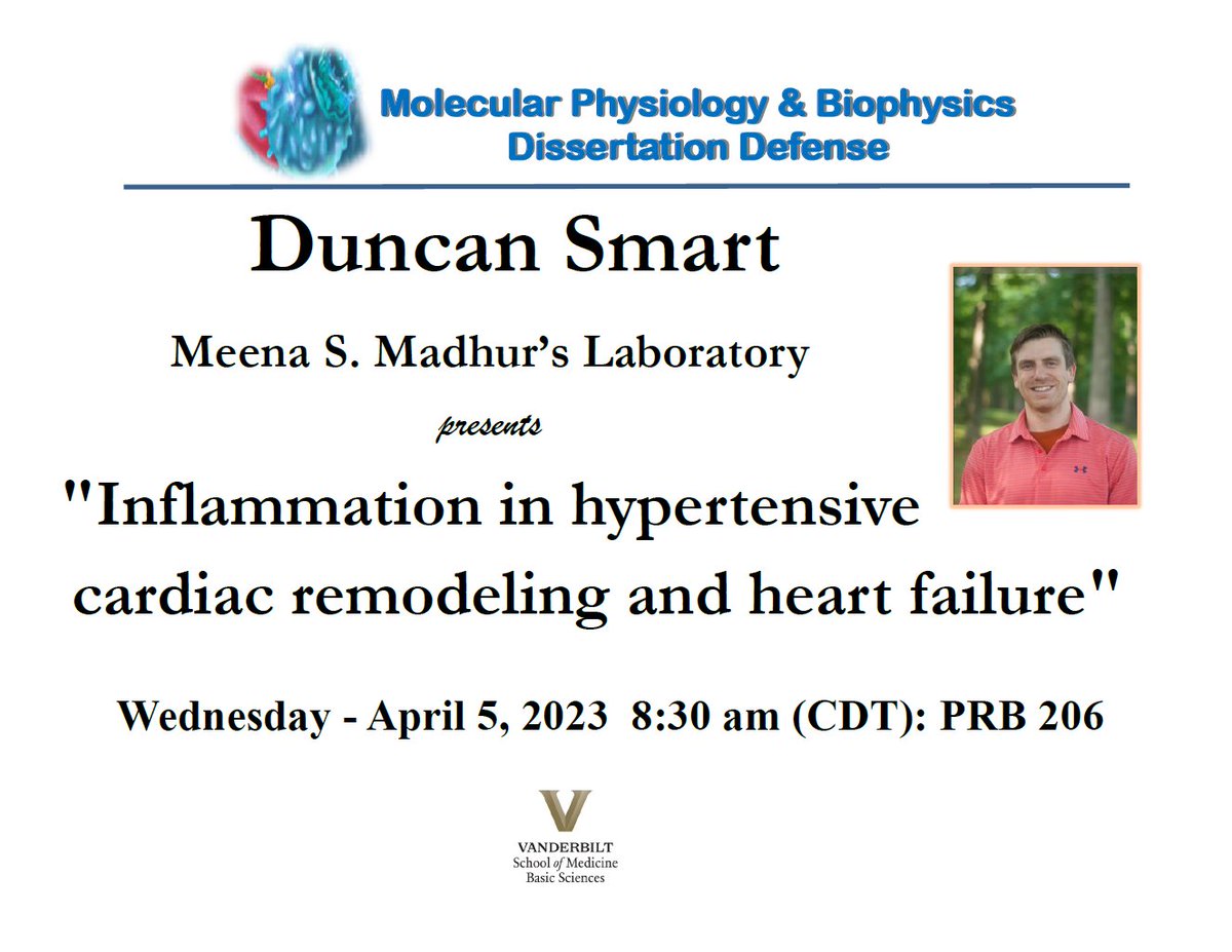 VanderbiltMPB's tweet photo. In two weeks @smartdunc, a graduate student in the lab of Meena Madhur, will defend his thesis titled "Inflammation in hypertensive cardiac remodeling and heart failure." 
We can't wait to see you there and here all about this work! https://t.co/huNAXLoVuq