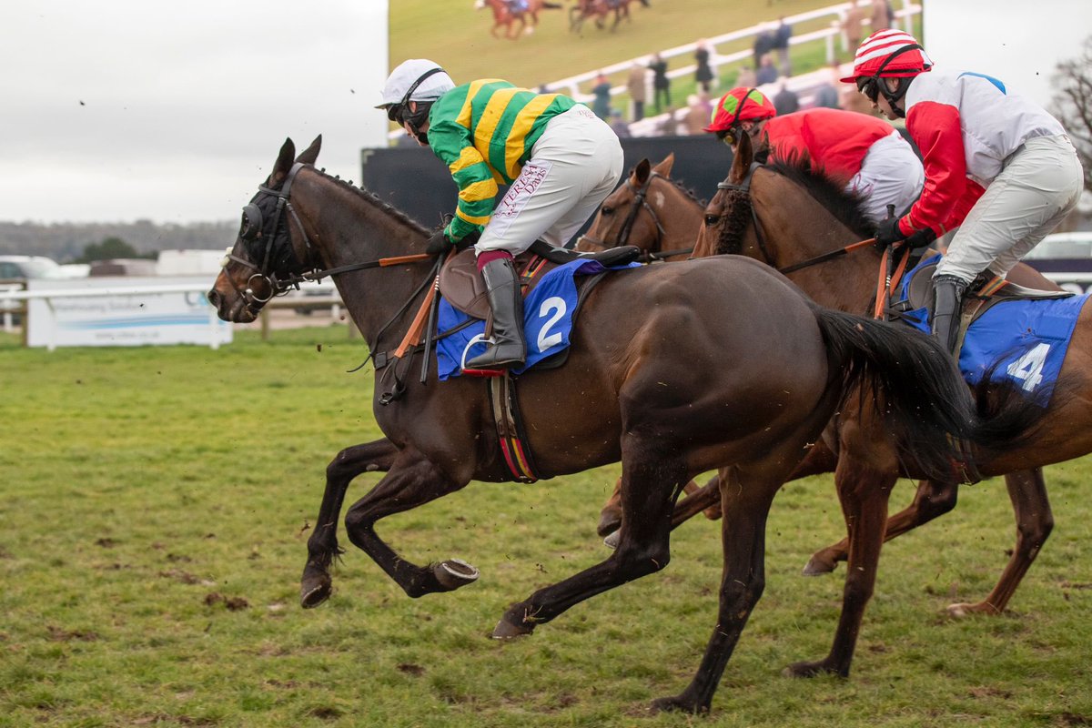 Elizabeth Gale (@elizabeth_gale9) on Twitter photo Dreams coming true🟢🟡⚪️ Fancy Your Chances 🥈🥈 thank you to <a href="/PJHobbs1/">Philip Hobbs & Johnson White Racing</a> and Mr JP McManus Dreams coming true🟢🟡⚪️ Fancy Your Chances 🥈🥈 thank you to <a href="/PJHobbs1/">Philip Hobbs & Johnson White Racing</a> and Mr JP McManus