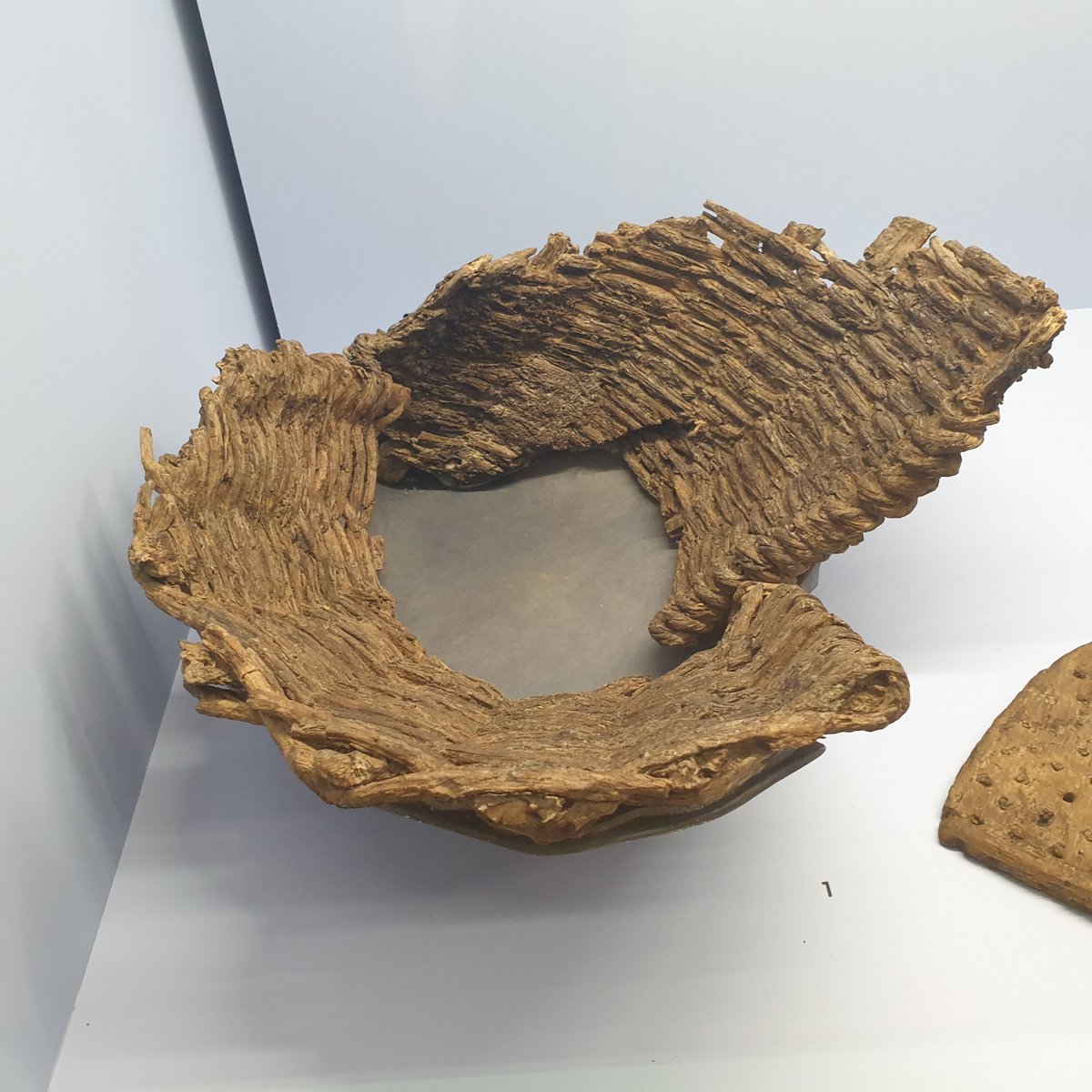 romandieantique's tweet photo. #Avenches /#Aventicum (exposition Avenches la gauloise):
Les objets en bois étaient très utilisés, mais seules des conditions particulières ont permis à un petit nombre d'entre eux d'être conservé :
1. Claies
2. Brosse à carder
3. Lien torsadé
4. Planche et cerclage de tonneau https://t.co/0aTmKD8KJe