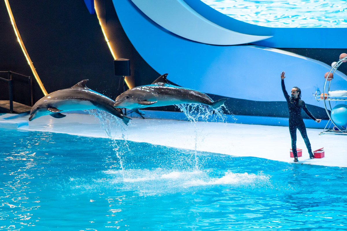 موسم الرياض | Riyadh Season tweet media