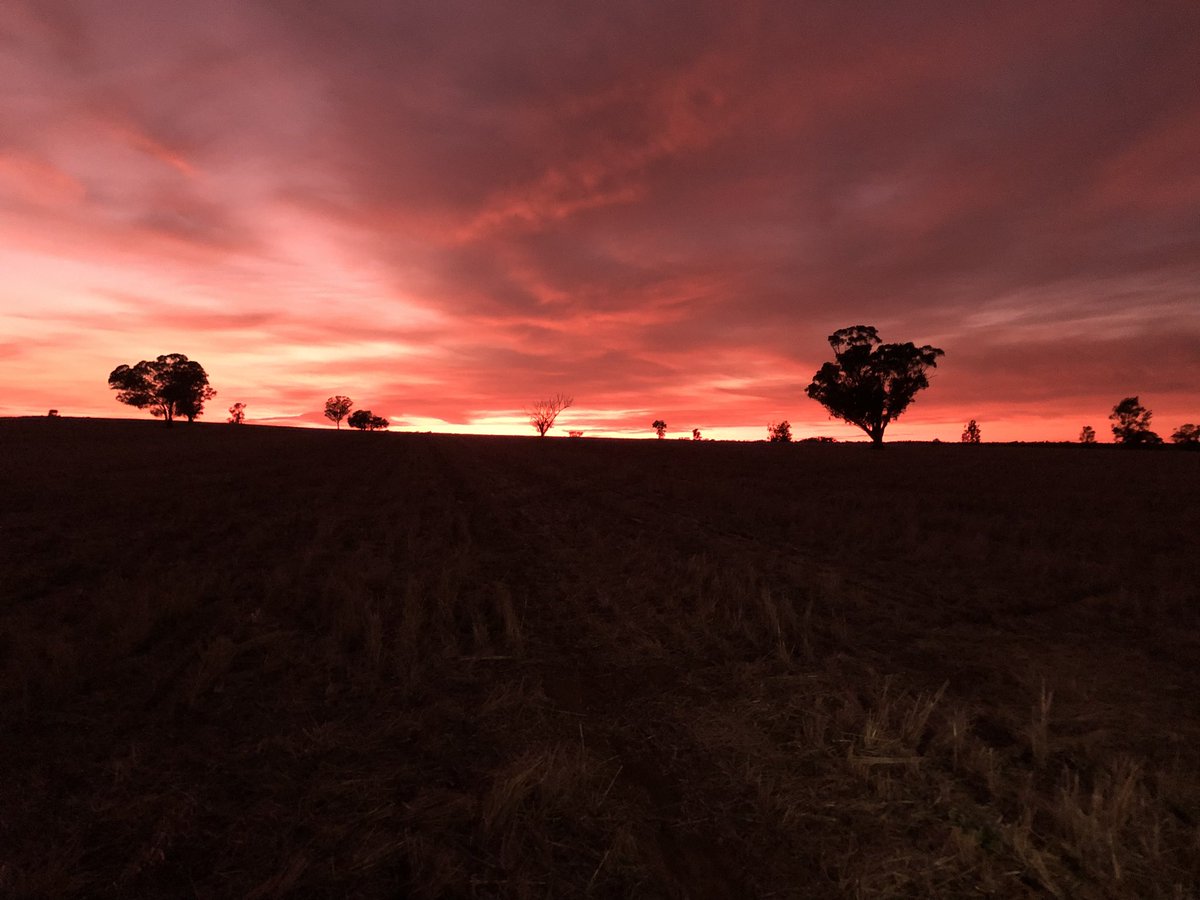 A couple of hours on the tractor before a day of sheep work. #sunrise