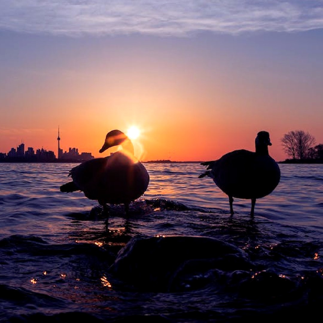 2020eyecarewpg's tweet photo. Today marks the first day of #Spring! Don't let the beauty of #springtime pass you by. Book your comprehensive #eyeexam online today at https://t.co/VYr4L1kbHK https://t.co/LHtYfkUTni