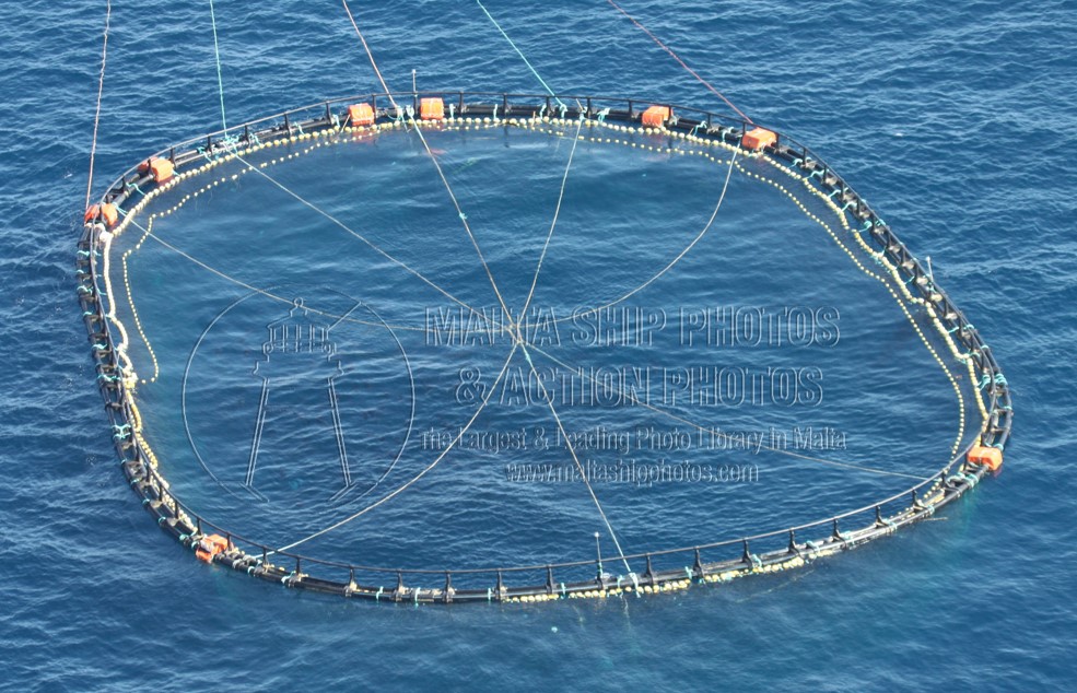 Shipguru's tweet image. #Bluefintuna #tunacage being #towed by an #italian #sterntrawler in the #MediterraneanSea - 20.03.2010  -  maltashipphotos.com - NO PHOTOS can be used or manipulated without our permission @EFCA_EU @ICCAT @EufaFisheries @EAPO_EUfishPOs