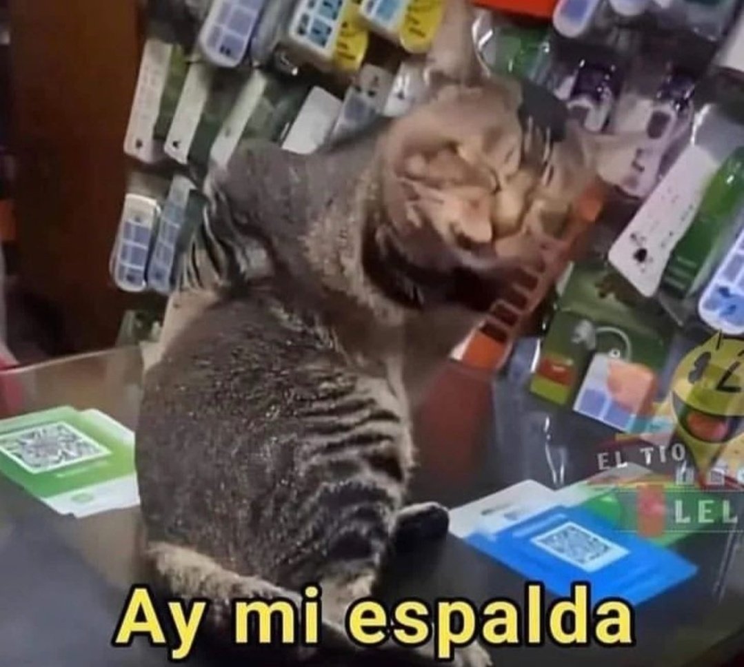skereunpesado's tweet photo. https://t.co/IkMvcHVJdL
