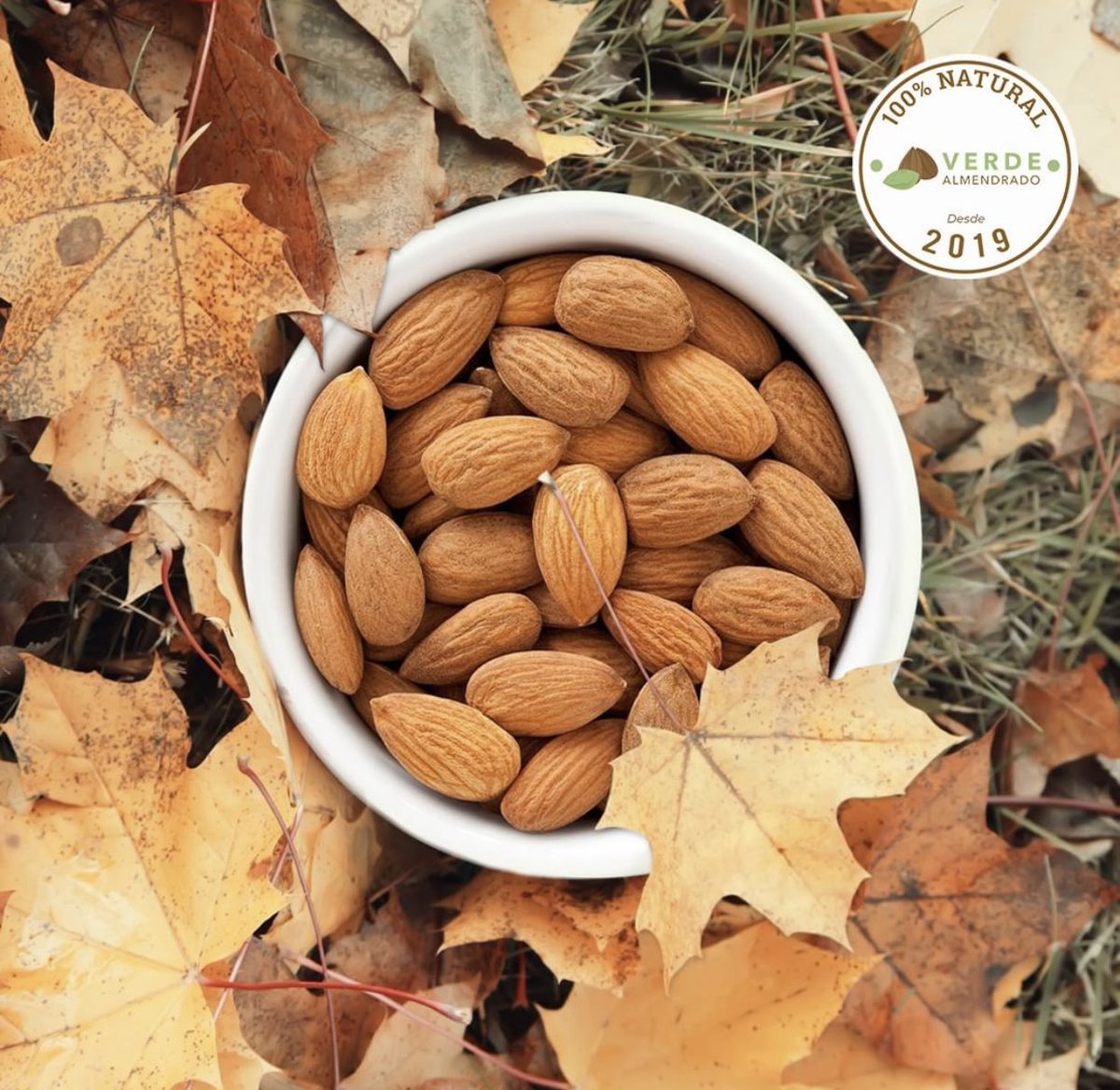 VAlmendrado's tweet photo. Dale la bienvenida al otoño con los frutos secos de Verde Almendrado 🍂💚

Búscalos en nuestra tienda online
https://t.co/hoBjaSYMrX

#verdealmendrado #apoyoalaspymes  #almendras
#ecommerce #delivery #frutossecos #ricoysano #superalimentos https://t.co/GWUd8oSKSc