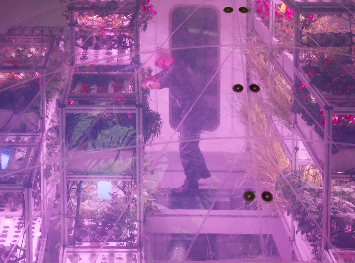 InterstellarLA's tweet photo. The shape of the #BioPod is ellipsoidal for optimal airflow and space utilization. Inside its structure, the growing, hydraulic, and atmospheric systems ensure a balance of climate, nutrition, and light for optimal plant growth and #sustainable #agriculture on Earth. 🌏🌱 https://t.co/fmSeu5jj7i
