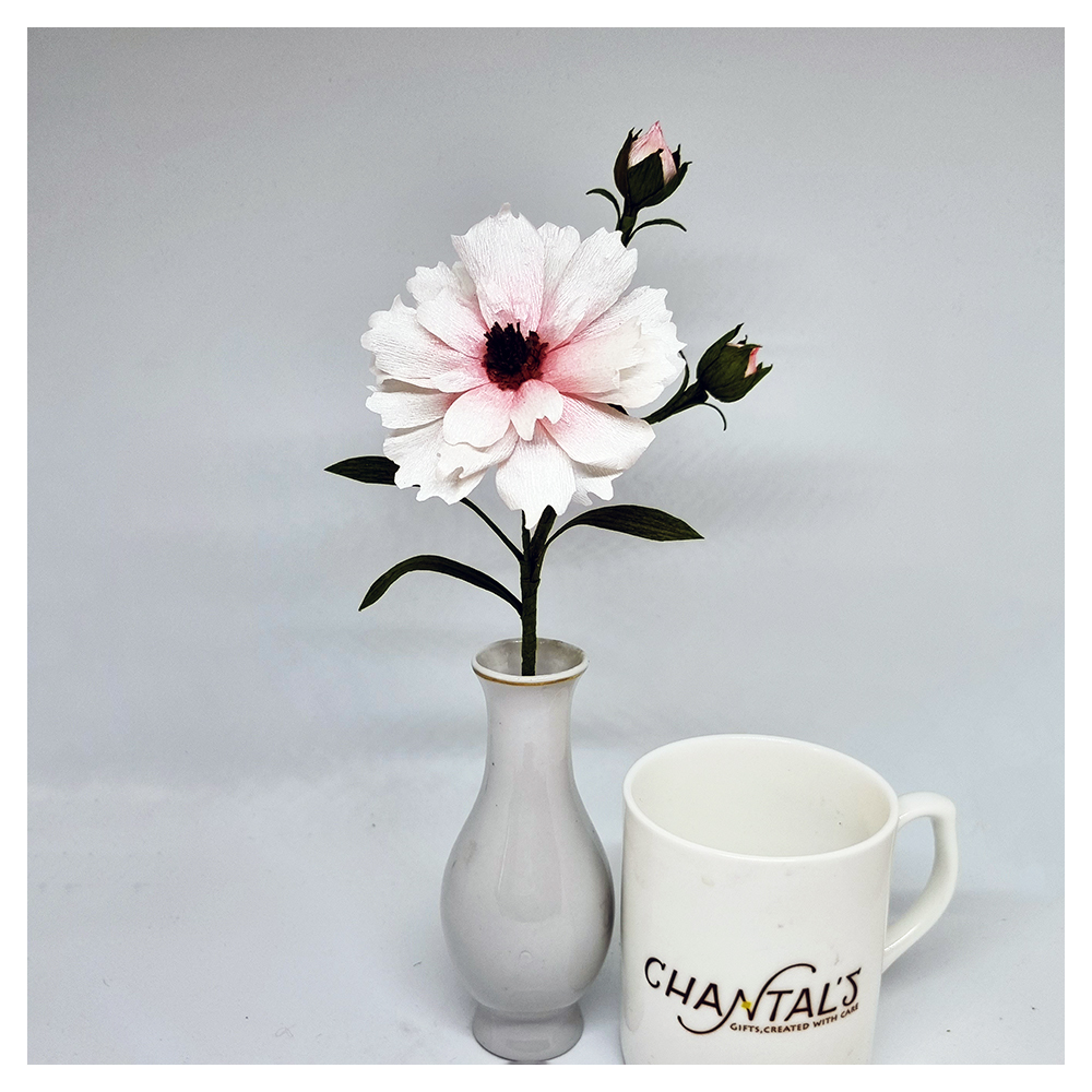 I really love learning new Crepe Paper Flowers and I had such a lovely time on Saturday evening with an online workshop with @ingailzepeterson. This is the Butterfly Ranunculus that we made. Isn't she so pretty? Unfortunately the camera has stripped out … instagr.am/p/CqBfr8SIqn3/