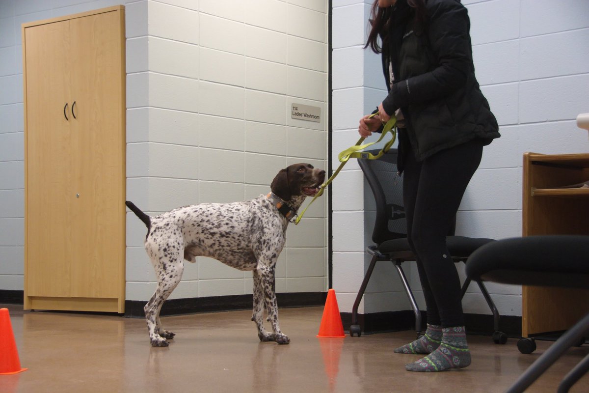 Alannimals tweet media