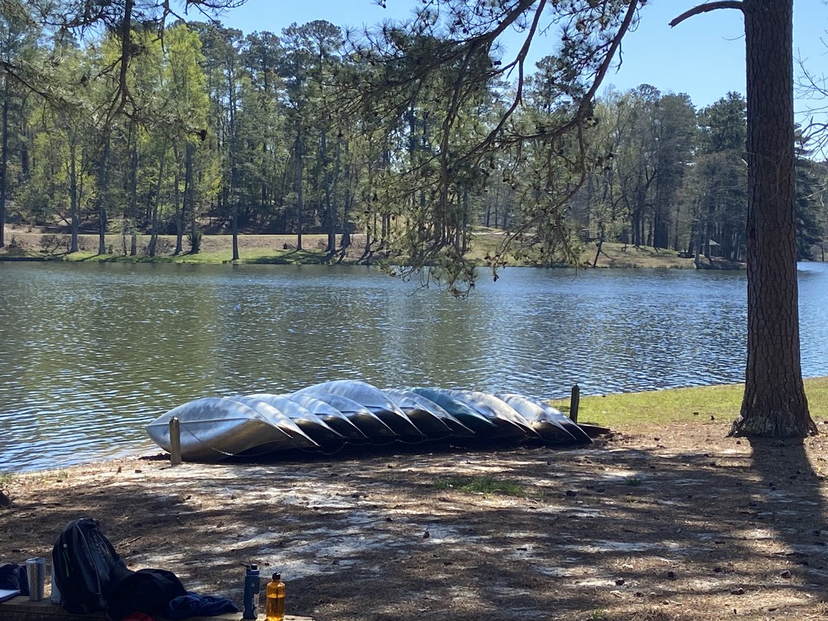 Janet Walker tweet media