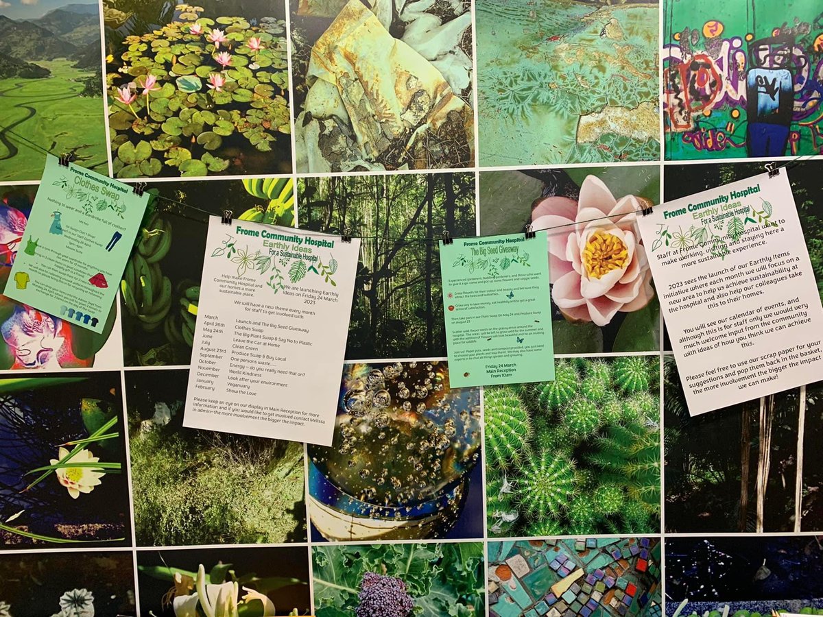 Frome Community Hospital Earthly Ideas tweet media