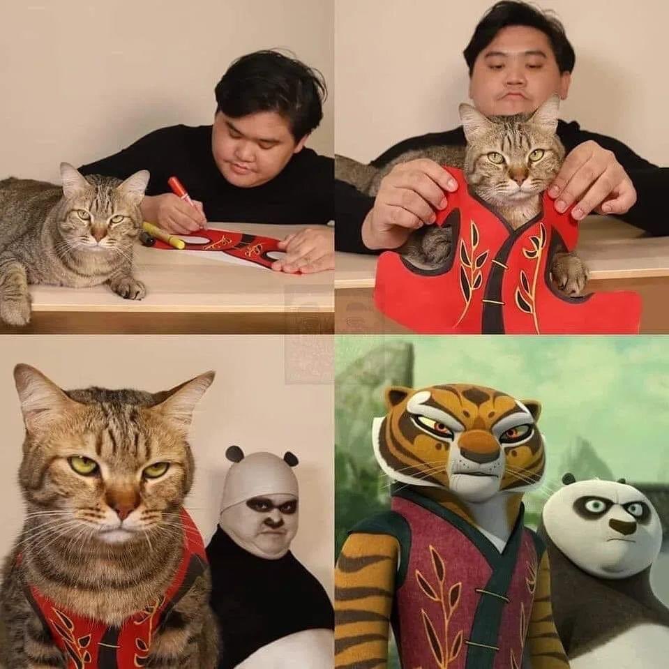 DiloConGatitoz's tweet photo. El cosplay perfecto. https://t.co/JmX3UEr0N8