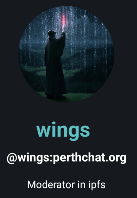 Surreal to be given the mantle so many years after discovering IPFS for the first time and thinking it was magic. Same goes for Filecoin which I also help mod some communities for now. Thanks to those responsible! :)