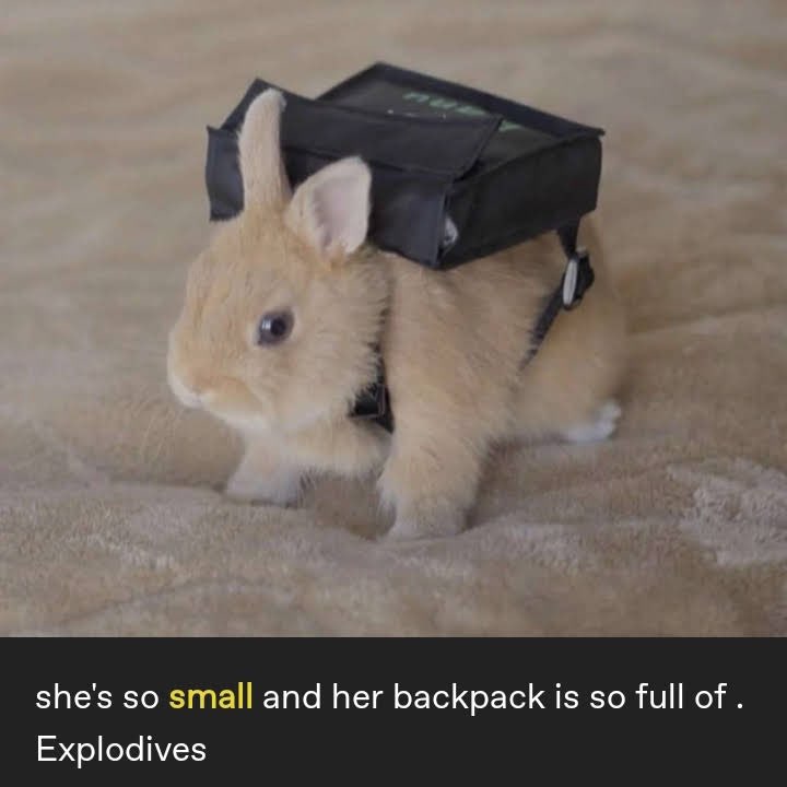 ambrosia of the moon 🖤 (@saent_valentine) on Twitter photo 