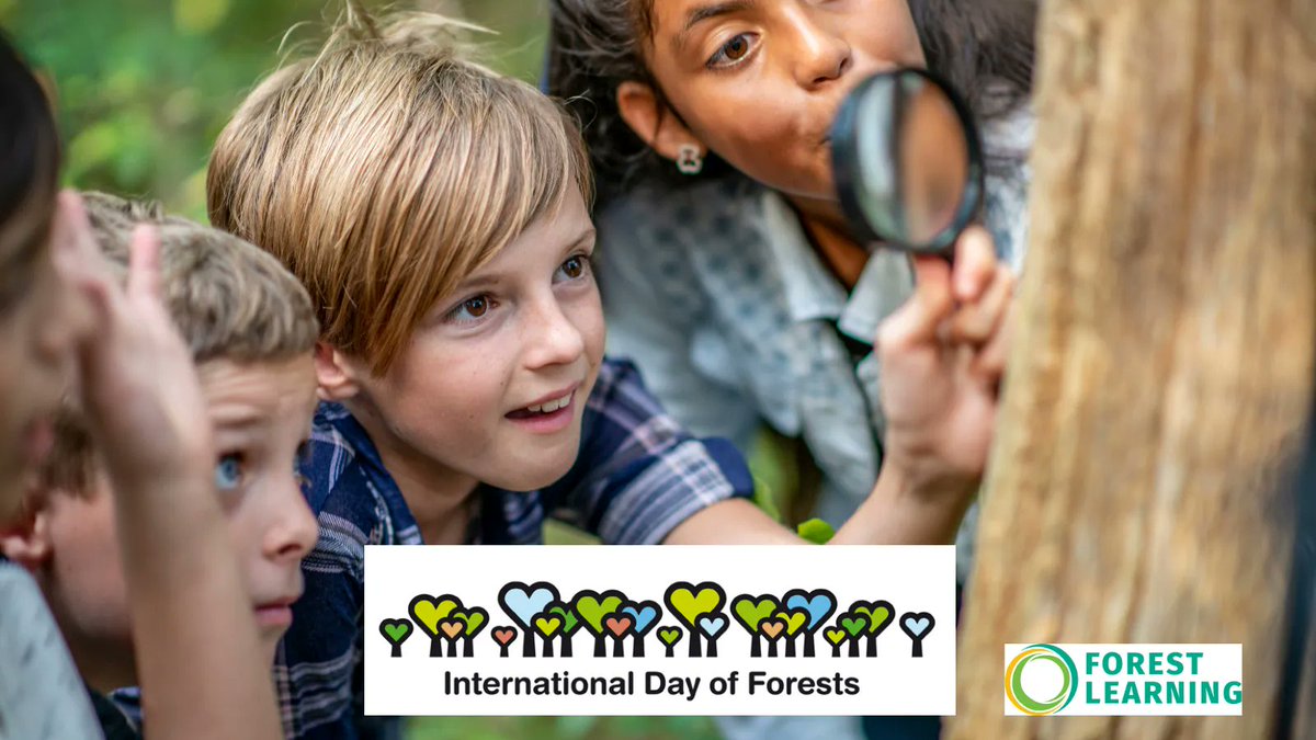 OzPIEF's tweet photo. 🌳Free Resources for #InternationalDayOfForests

Order a free teachers pack, virtually tour Australia’s forests with ForestVR, get outdoors with Tree Carbon Storage Tape Measure, or download lesson plans, videos and more!

👉Click here to download: https://t.co/esaWeLMOV5 https://t.co/3denBmdDs1