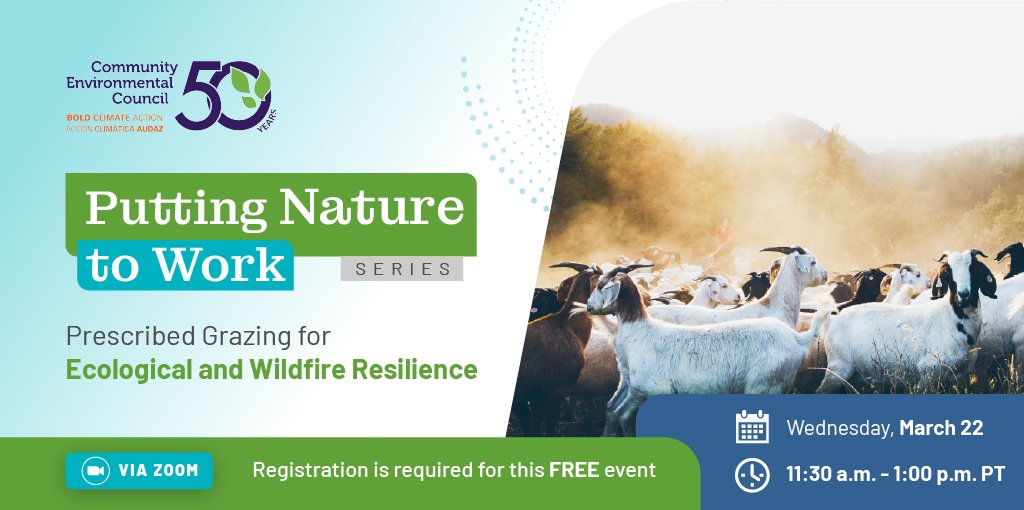 calclimateag's tweet image. In February, CalCAN sponsored SB 675 (Limón) to enhance #wildfiremitigation efforts by expanding statewide #prescribedgrazing efforts. Join CEC&apos;s webinar to learn more about prescribed grazing. Register at bit.ly/3lh6TAR

 @CECSB @MoniqueLimonCA 
#wildfireprevention