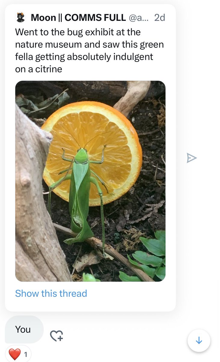 jess tweet media