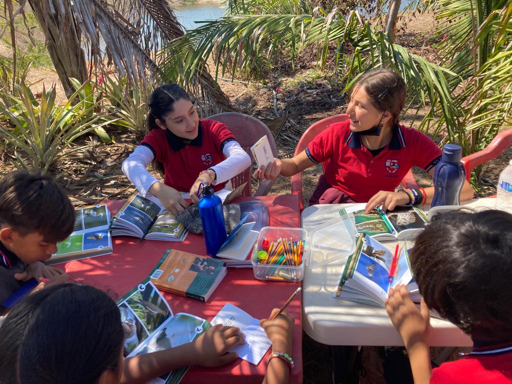 OceanConnectors's tweet image. On our 6th grade field trips in Mexico, students learn about the local wildlife including different bird and pollinator species. These experiences teach them all about the unique biodiversity in the area and how they can help protect it. #BeAnOceanConnector #MarineConservation