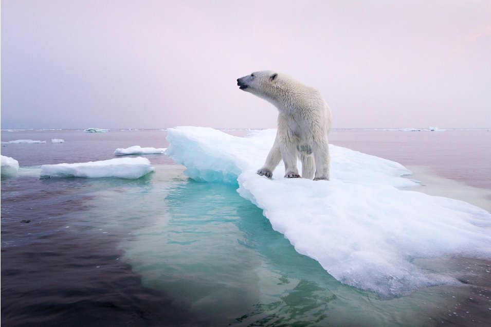 monde_biodi's tweet photo. Le réchauffement climatique atteindra 1.5 °C dès 2030-35 alerte le Giec. 
Avec des effets, bien plus dévastateurs que prévu. https://t.co/KWgiPtO92L