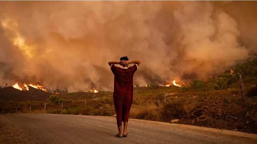 monde_biodi's tweet photo. Le réchauffement climatique atteindra 1.5 °C dès 2030-35 alerte le Giec. 
Avec des effets, bien plus dévastateurs que prévu. https://t.co/KWgiPtO92L