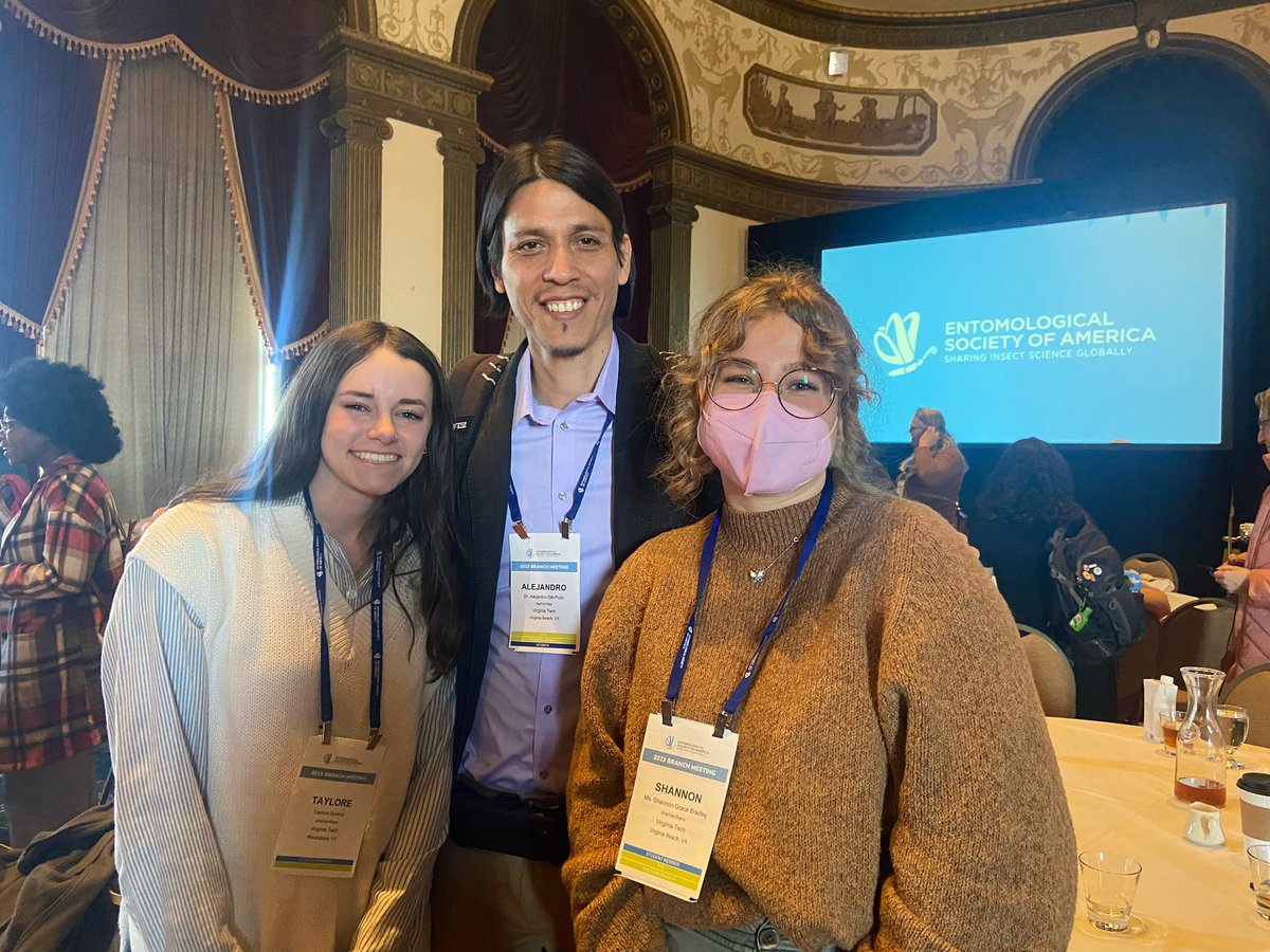 Taylore Tomlinson tweet media