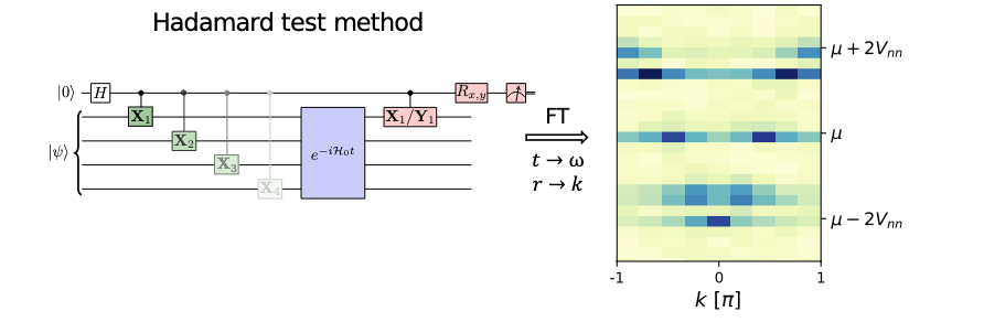 KemperLab's tweet photo. Quantum computers' restrictions present a challenge -- you'd like to evaluate ⟨A(t)B(t′)⟩, but the Hadamard test method requires A and B to be unitary. There are ways around this, but they're inconvenient and can lead to excess noise.

2/n https://t.co/q20Y6jOeYA