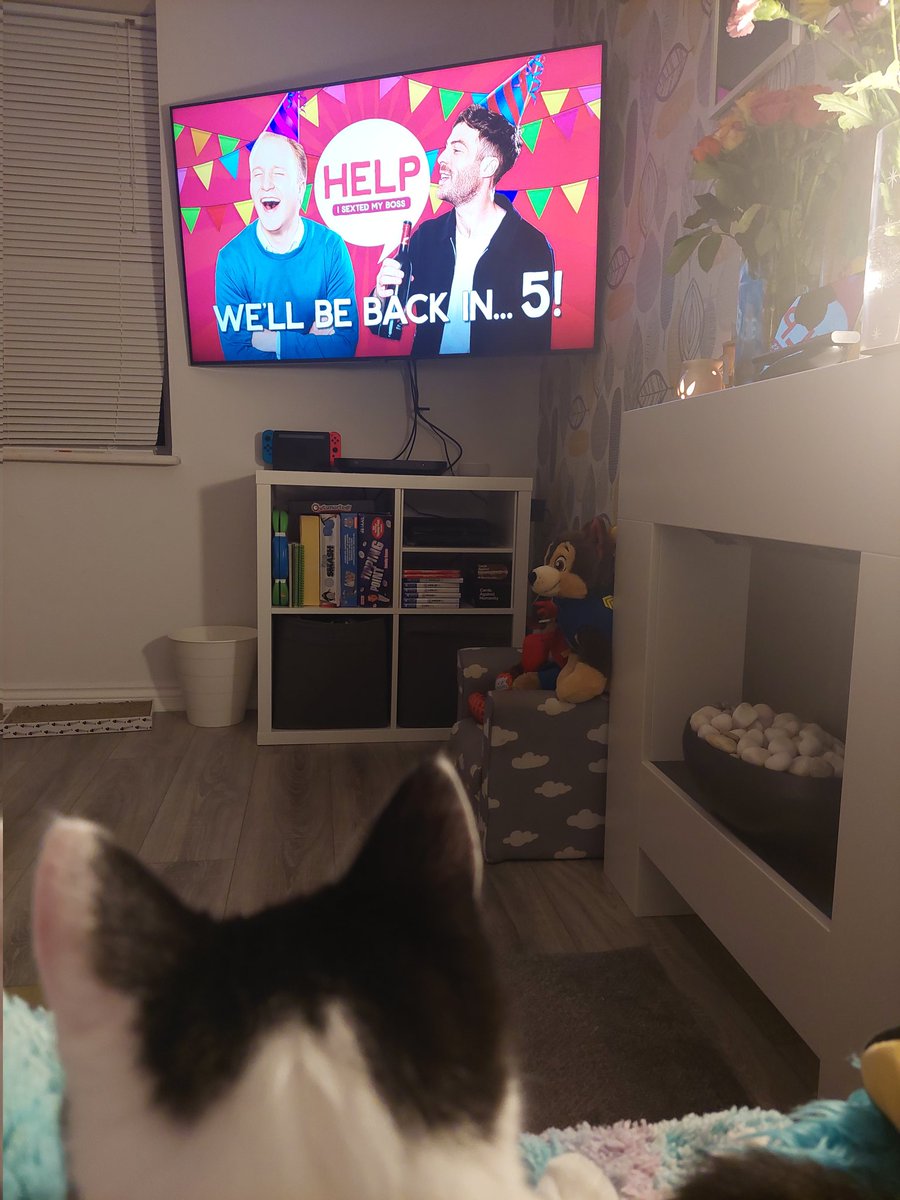 ibemur's tweet photo. Watching with the kitty #givemethed @sextedmyboss https://t.co/PMLYu5A3qO