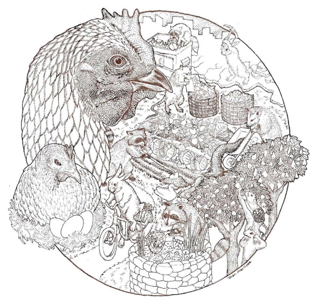 HydroponicTrash's tweet photo. Sharing an amazing book: Toolbox for sustainable city living: a do-it-ourselves guide. It has a great explanation of what could be described as a #solarpunk &amp; degrowth approach to urban permaculture with great illustrations! A ton of really good info in this. https://t.co/wO90lxtsPr
