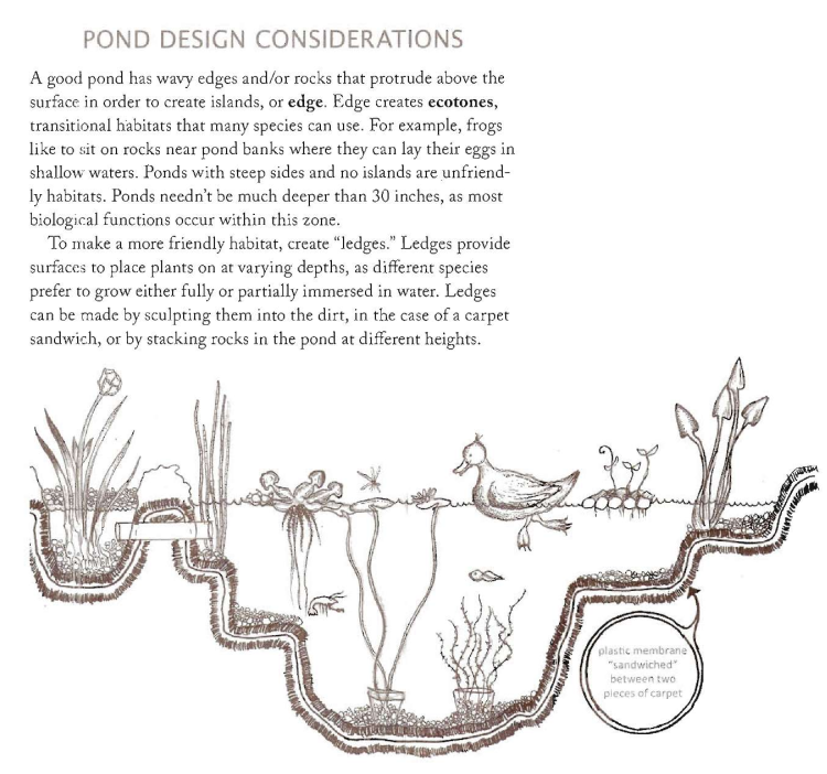 HydroponicTrash's tweet photo. Sharing an amazing book: Toolbox for sustainable city living: a do-it-ourselves guide. It has a great explanation of what could be described as a #solarpunk &amp; degrowth approach to urban permaculture with great illustrations! A ton of really good info in this. https://t.co/wO90lxtsPr