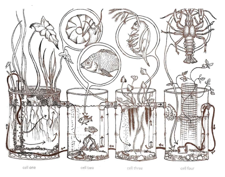 HydroponicTrash's tweet photo. Sharing an amazing book: Toolbox for sustainable city living: a do-it-ourselves guide. It has a great explanation of what could be described as a #solarpunk &amp; degrowth approach to urban permaculture with great illustrations! A ton of really good info in this. https://t.co/wO90lxtsPr