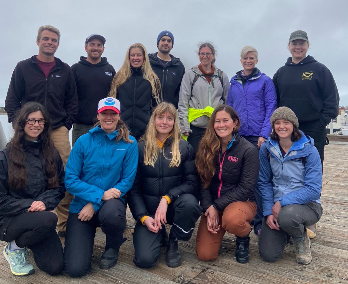 Anne Simonis tweet media