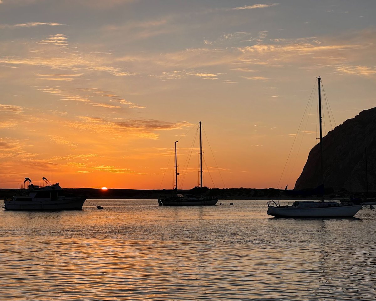 Anne Simonis tweet media